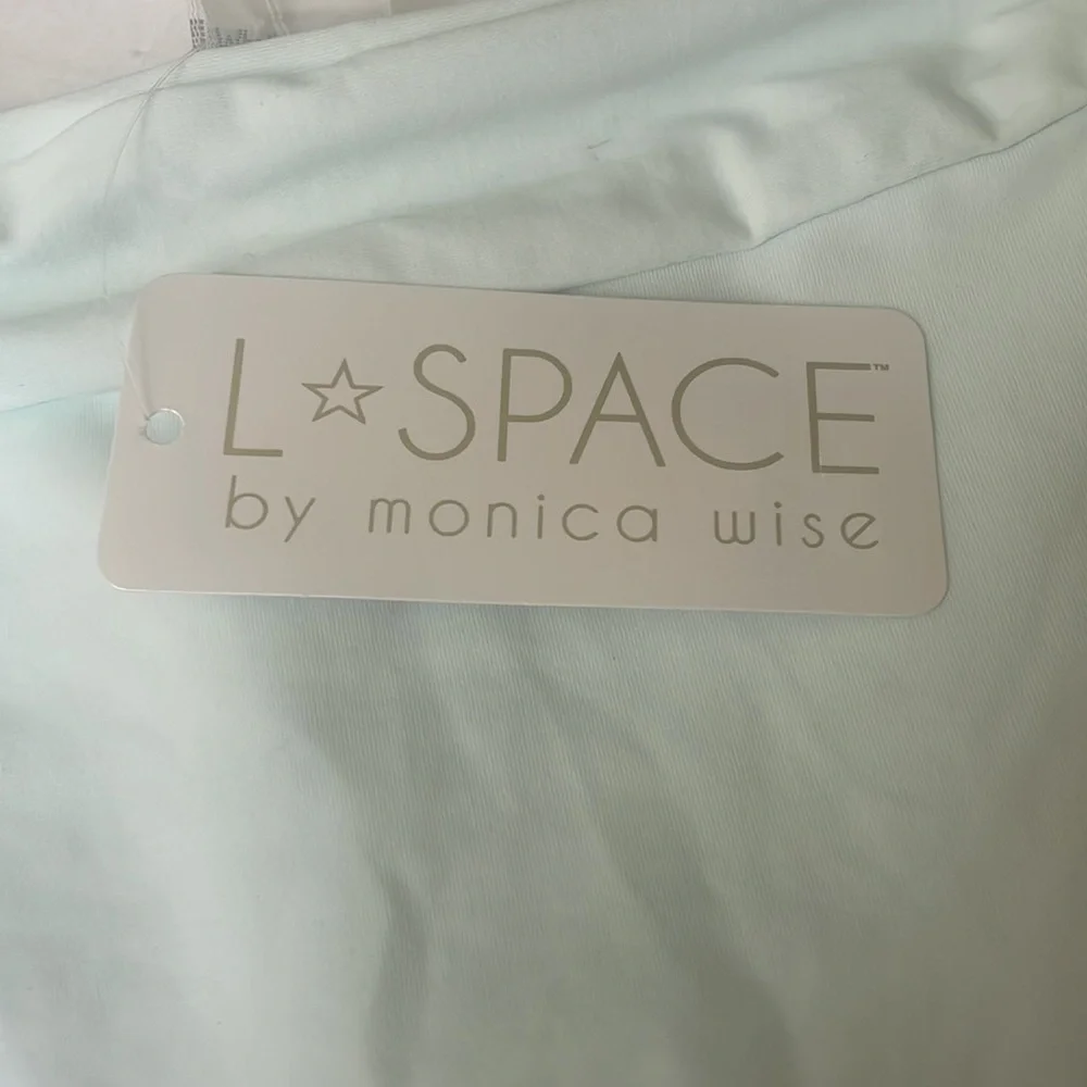 L*Space Veronica Banded Hipster Bikini Bottom in Glass - Picture 7 of 12